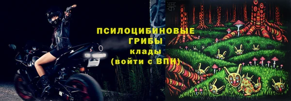 сатива Балабаново